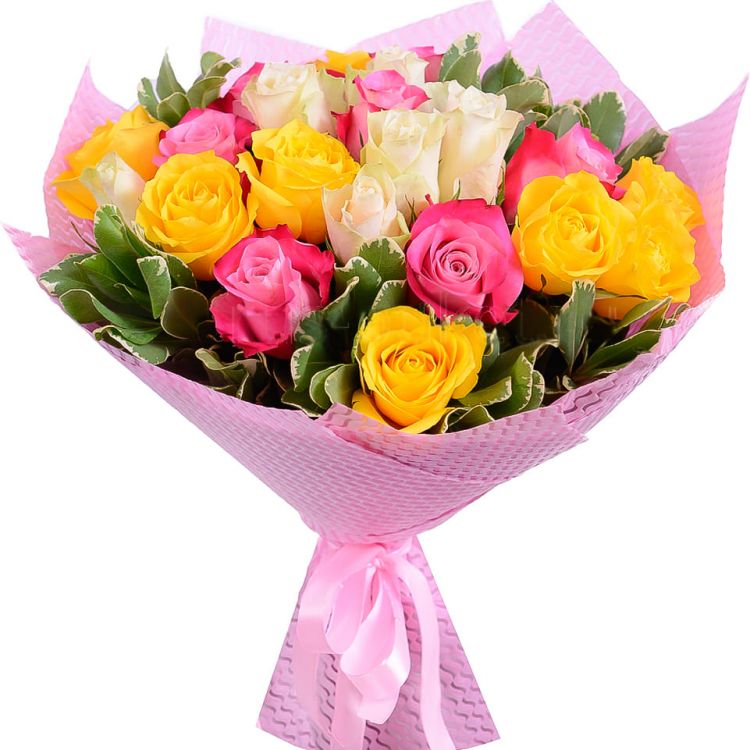 Разноцветный от 5 690 руб.